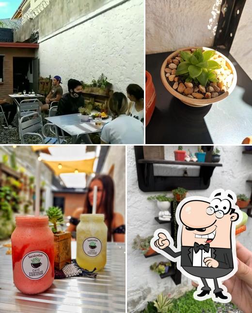 Suculentas Café