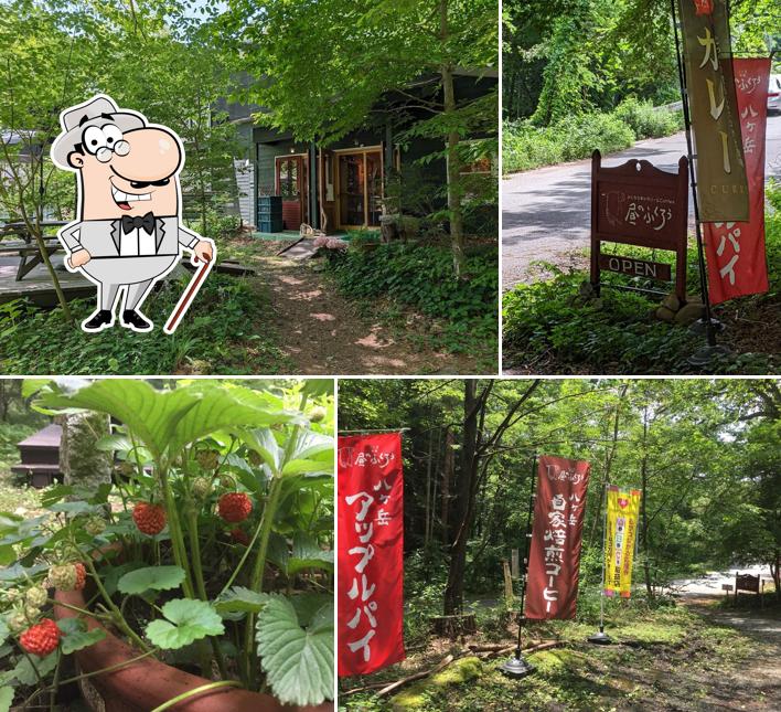 昼のふくろう