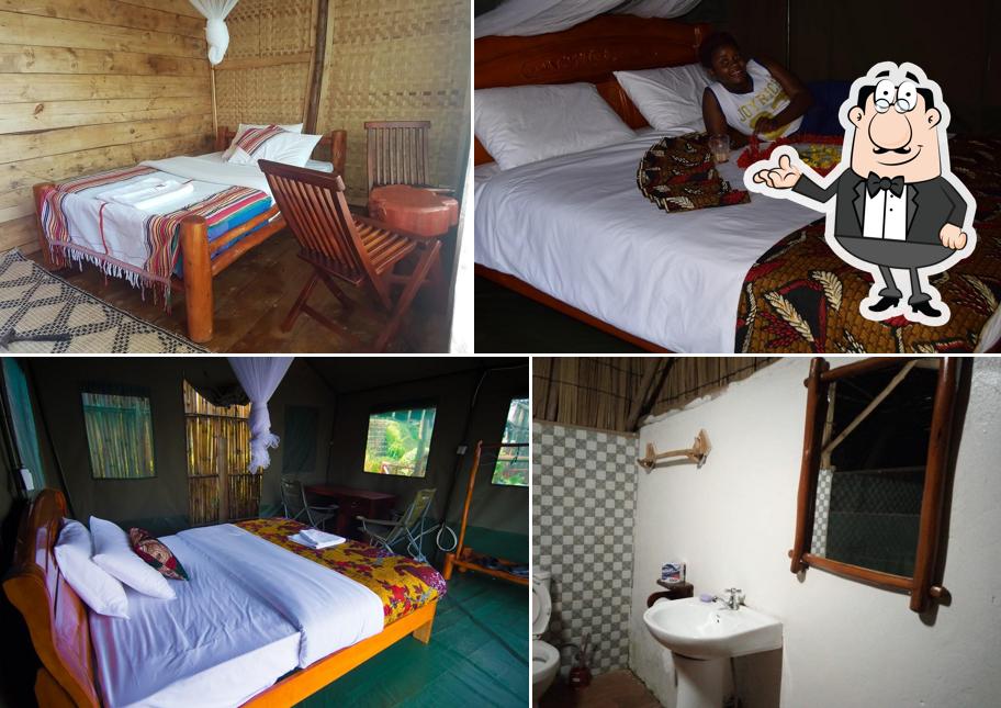 Hawk's Eye Lodge Bunyonyi