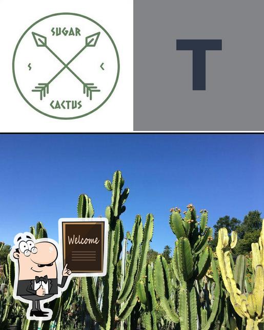 The Sugar Cactus Bakery