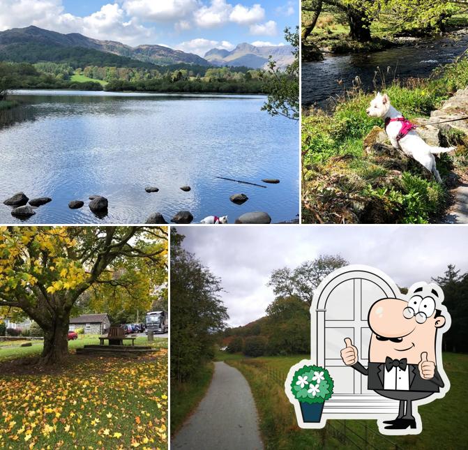 Elterwater Cafe
