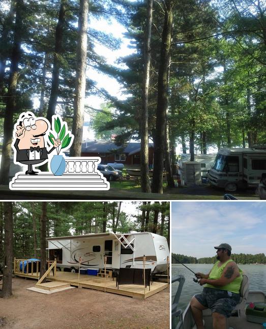 Wolf's Den
