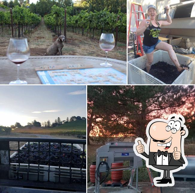 Black Knight Vineyard