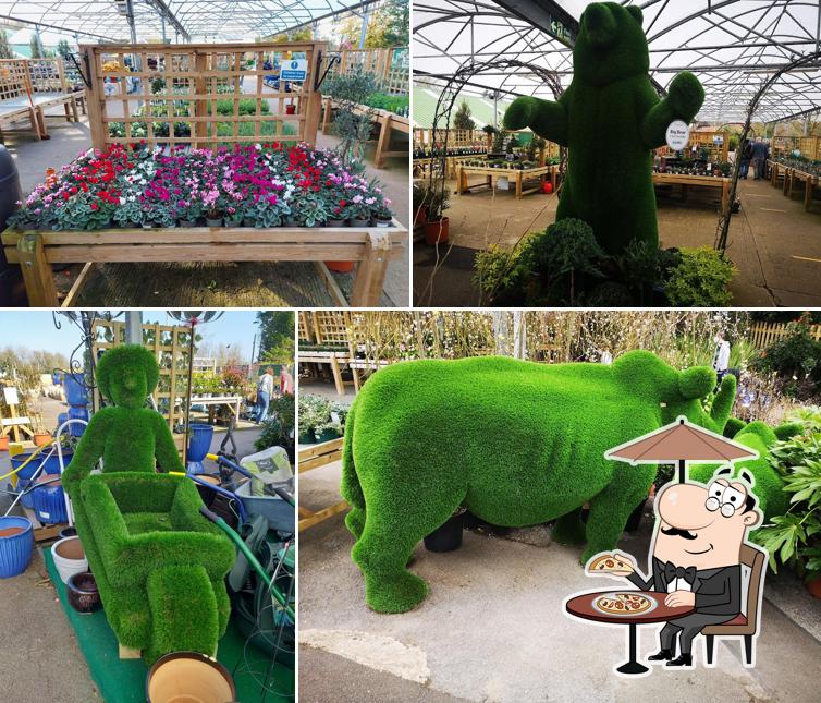 In-Excess Fair Oak Garden Centre