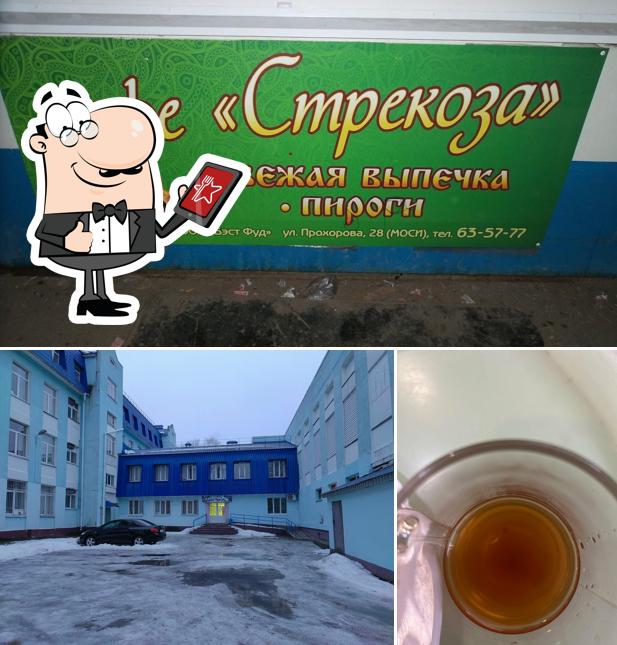 Стрекоза