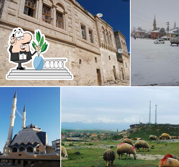 Tatbak Cuma Pazarı Şubesi