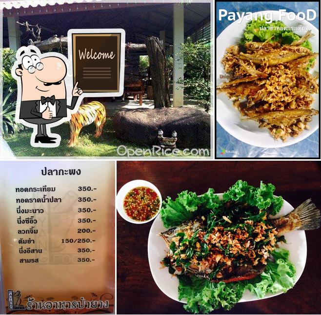 ร้านอาหารป่ายาง Chan