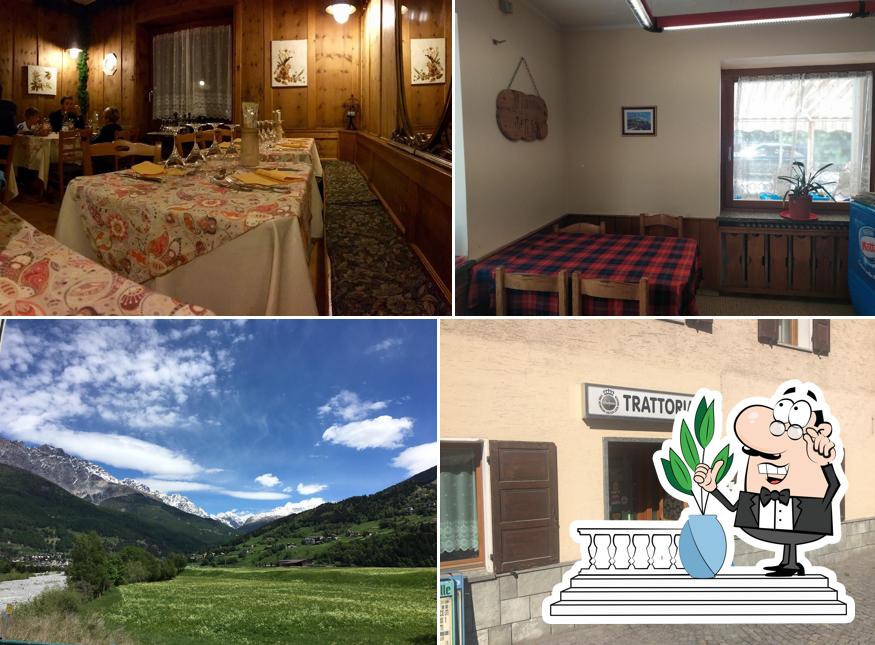Trattoria Adalgisa