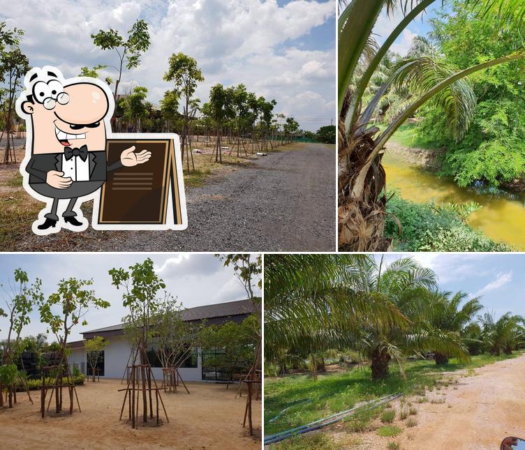 Jaidee Farm สุราษฎร์ธานี