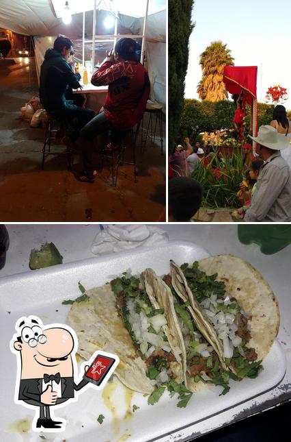 TACOS venadito