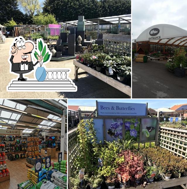Hillier Garden Centre Chichester
