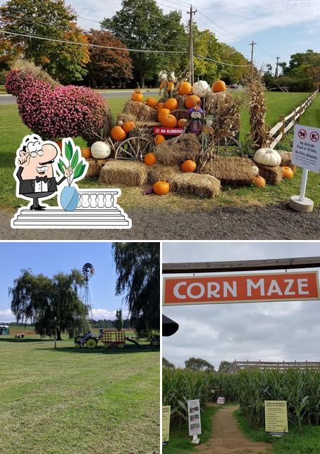 Harbes Farms Jamesport