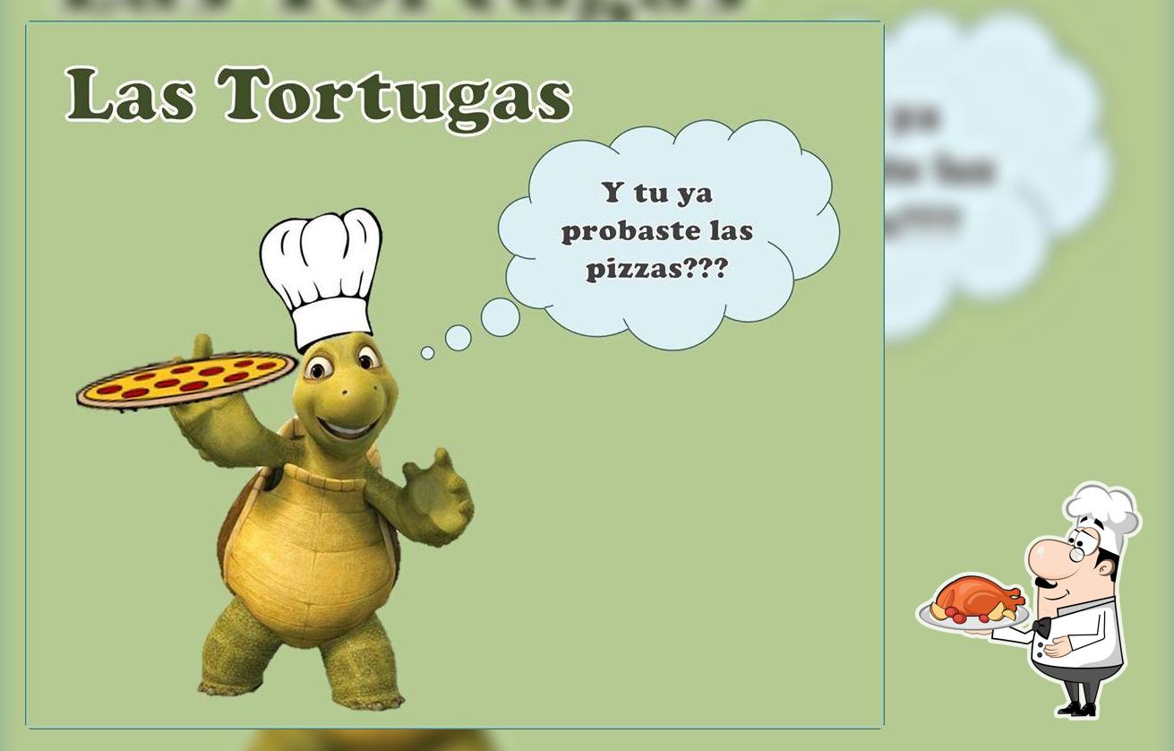 LAS Tortugas Tenamaxtlán