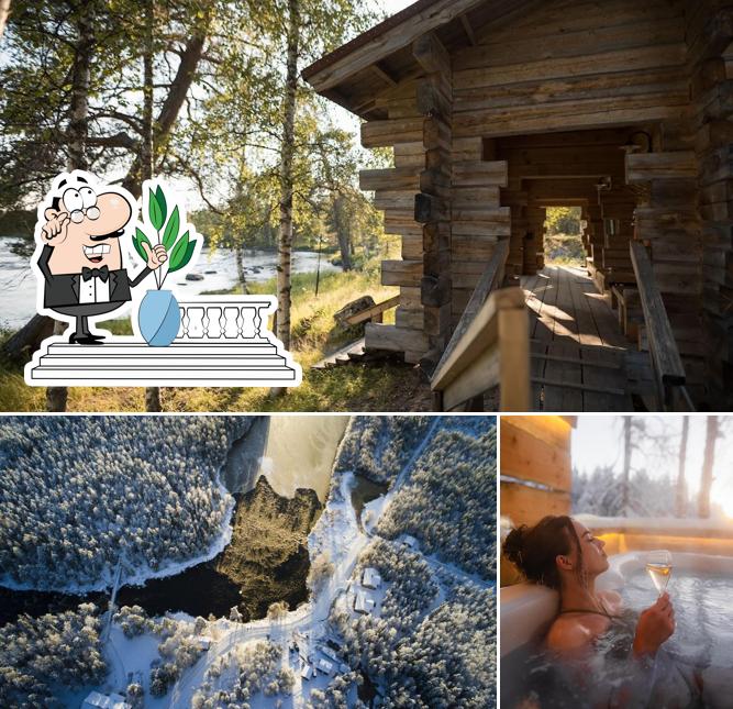 Vaattunki Wilderness Resort