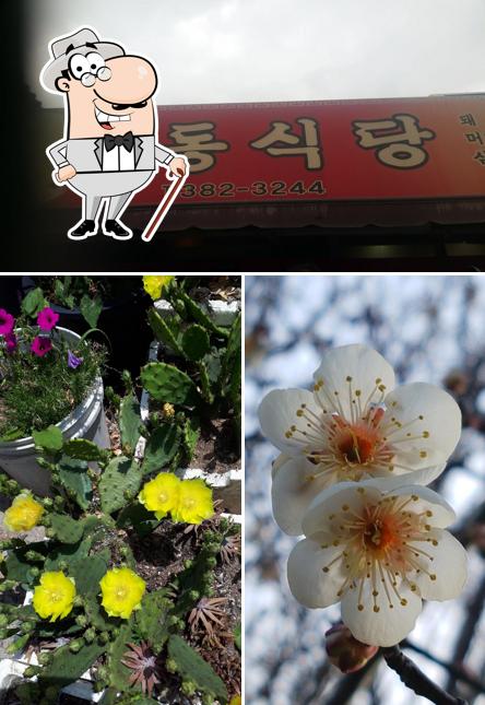 산동식당