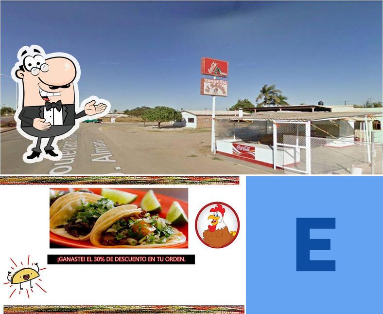El gallito Navojoa