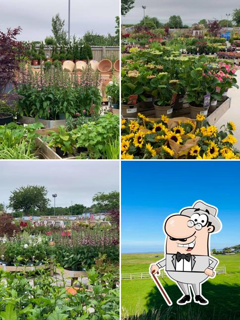Bay View Garden Centre & Restaurant