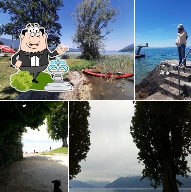 Buvette de la Plage