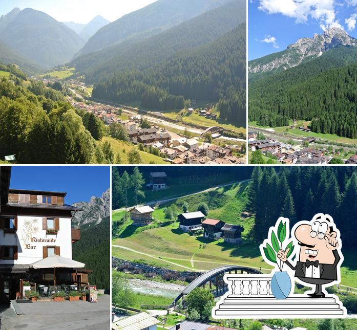 Hotel Stella Alpina