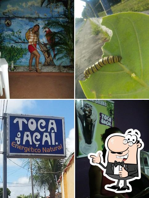 Lair Acai