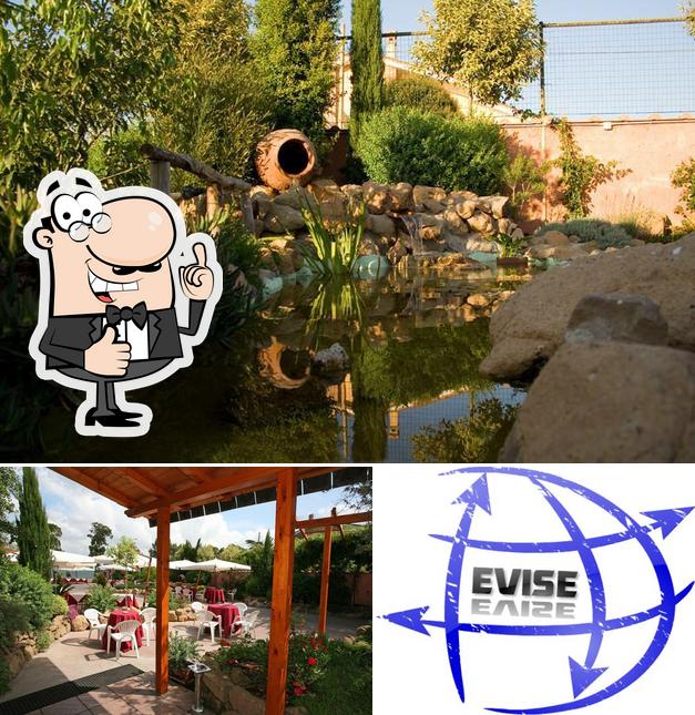 Al Bajniero School Marketing Project