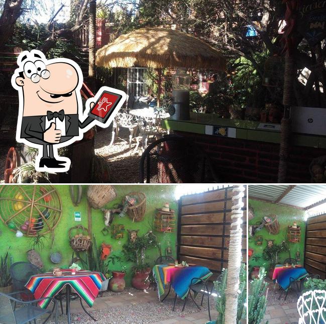 La Casa del Árbol