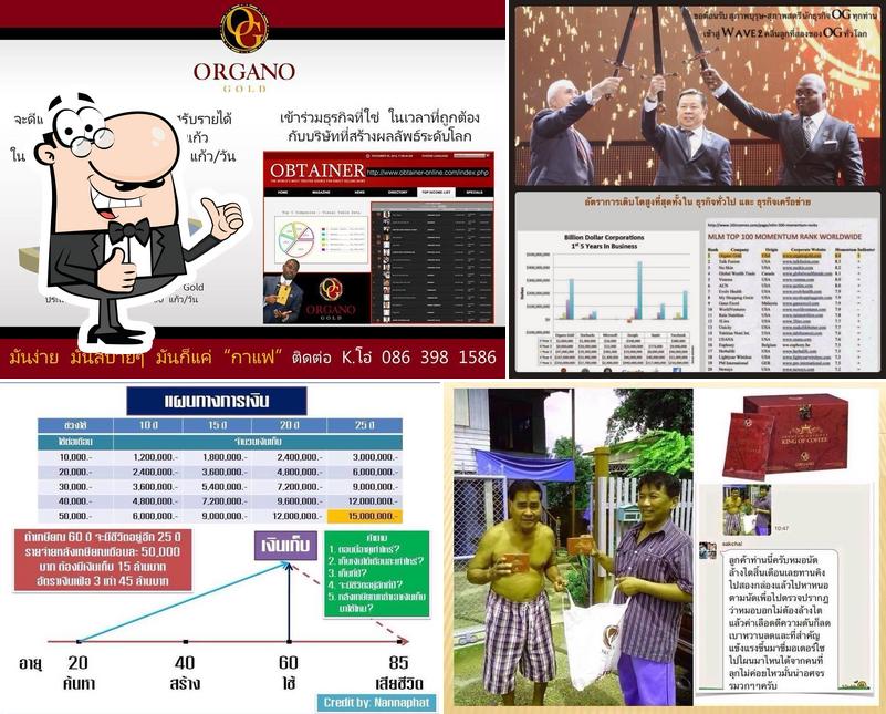 Organo Gold ภาคใต้