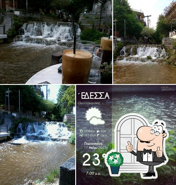 Academia CAFE-BAR