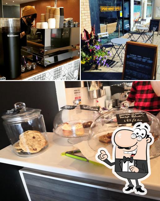 Spider Monkey Coffee Co