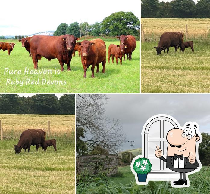 Exe Valley Farm Shop and Ruby Red cafe
