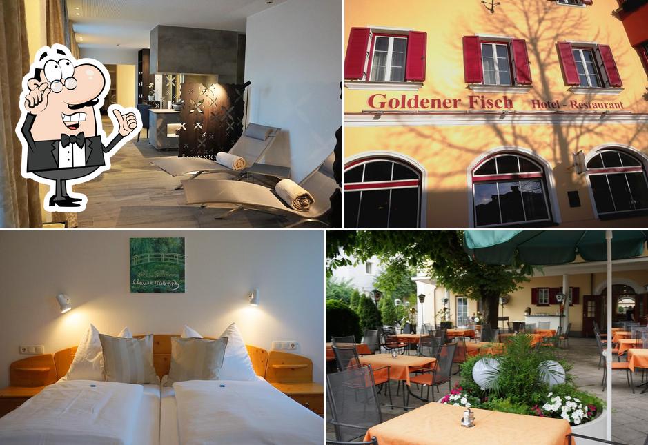 Hotel Goldener Fisch