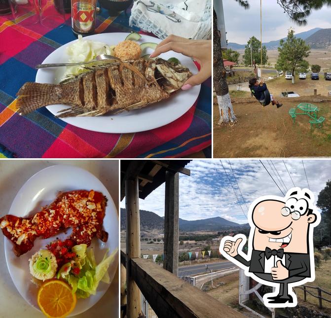 El Madroño
