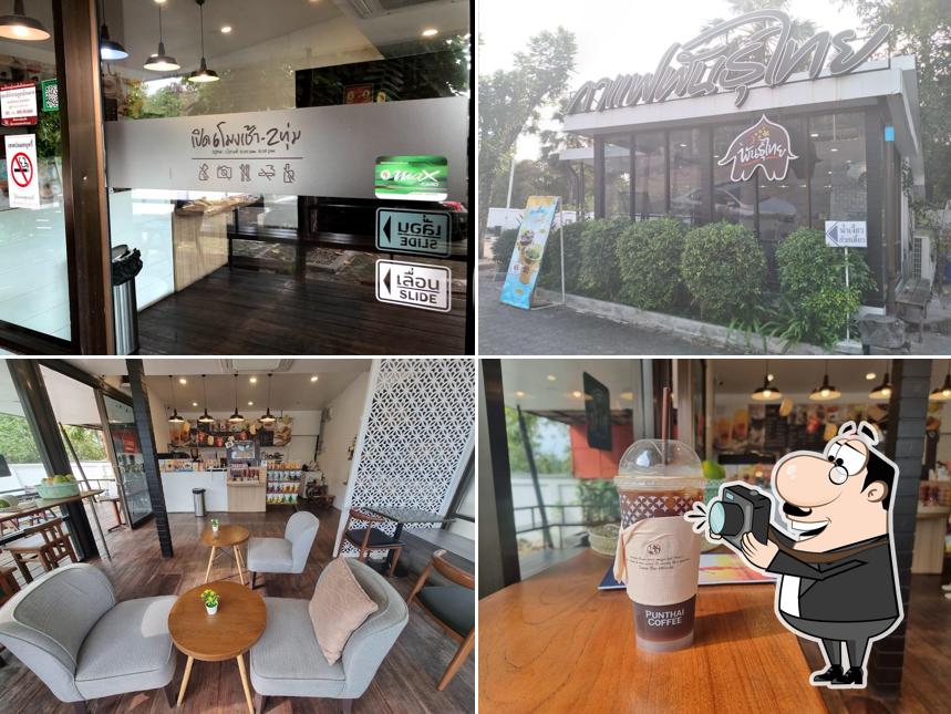 กาแฟพันธุ์ไทย