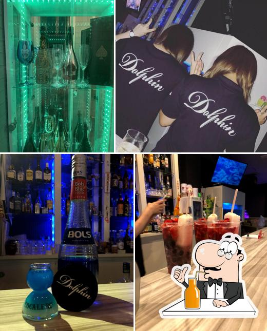 bar Dolphin