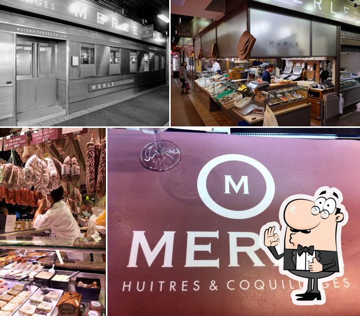 Merle Huîtres et Coquillages
