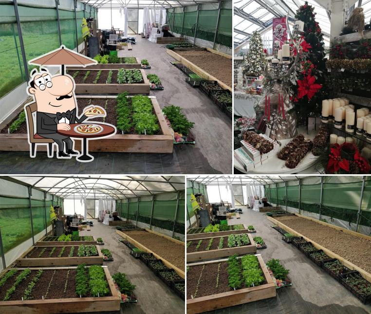 Newbridge Nurseries Garden Centre