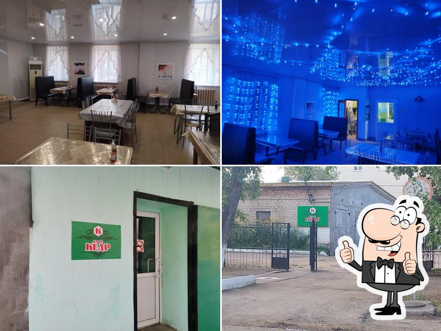 Кедр