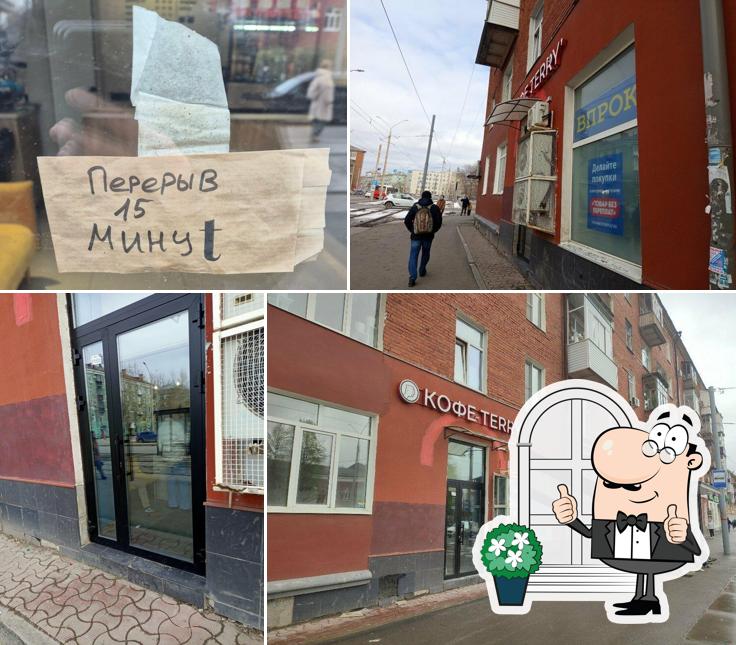Терри