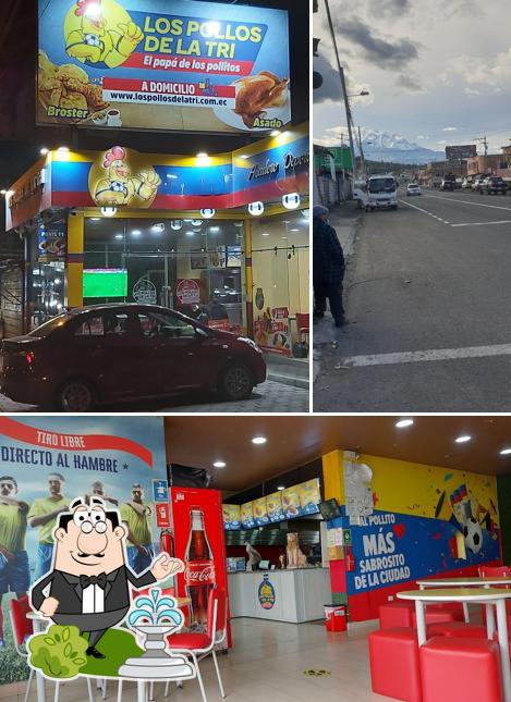 Los pollos de la tri Riobamba