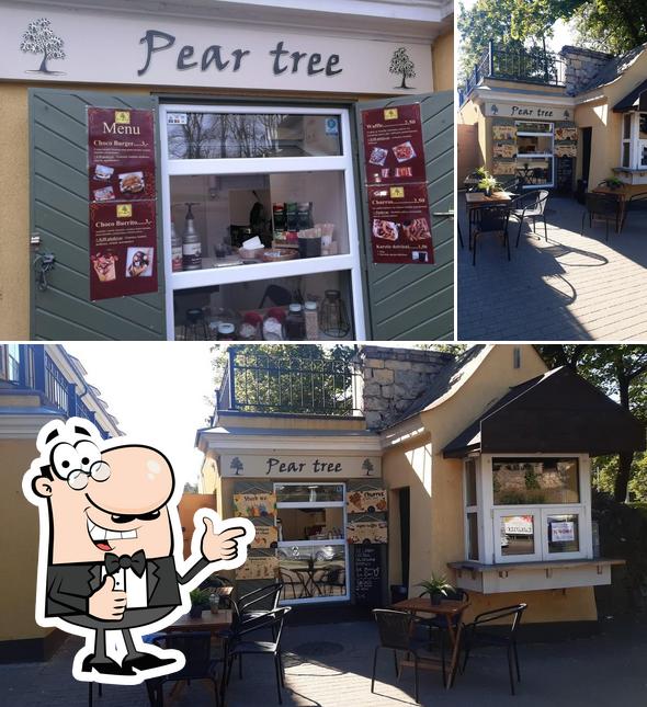 Pear Tree