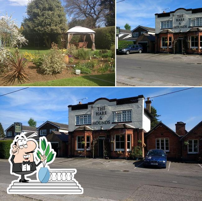 The Hare and Hounds