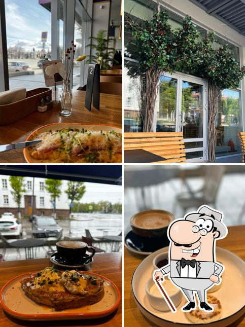 Внешнее оформление "Вольсов"