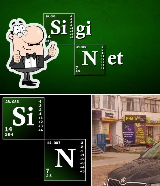SigiNet