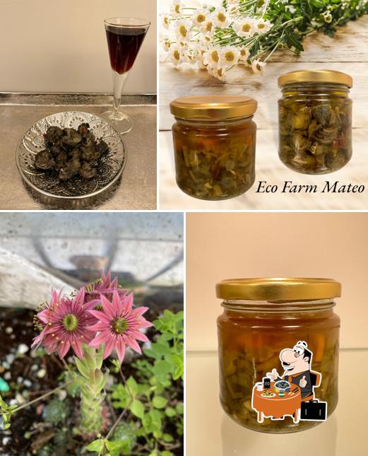 Eco Farm MATEO