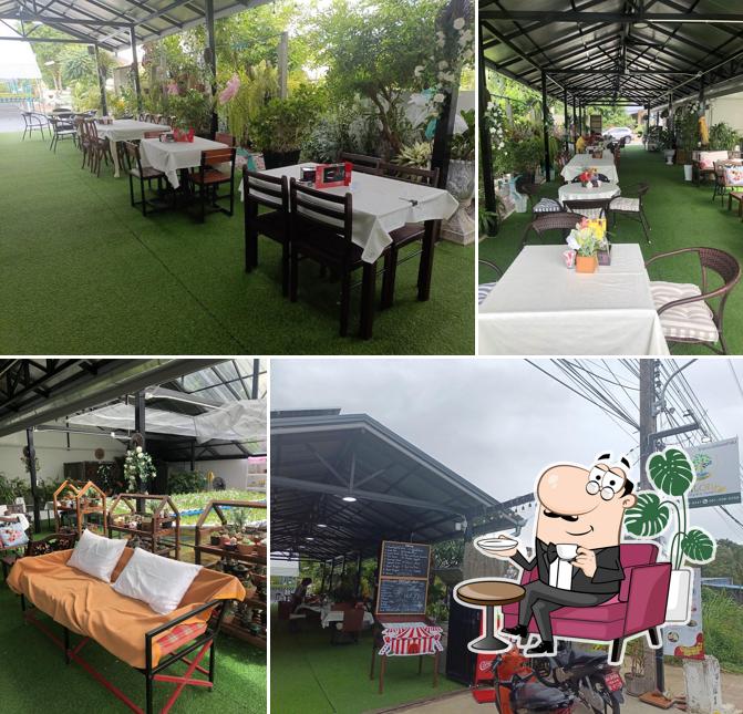 Zaitong Cafe & Hydrofarm