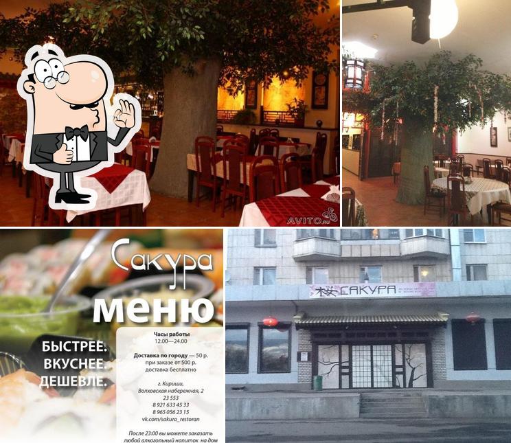 Сакура