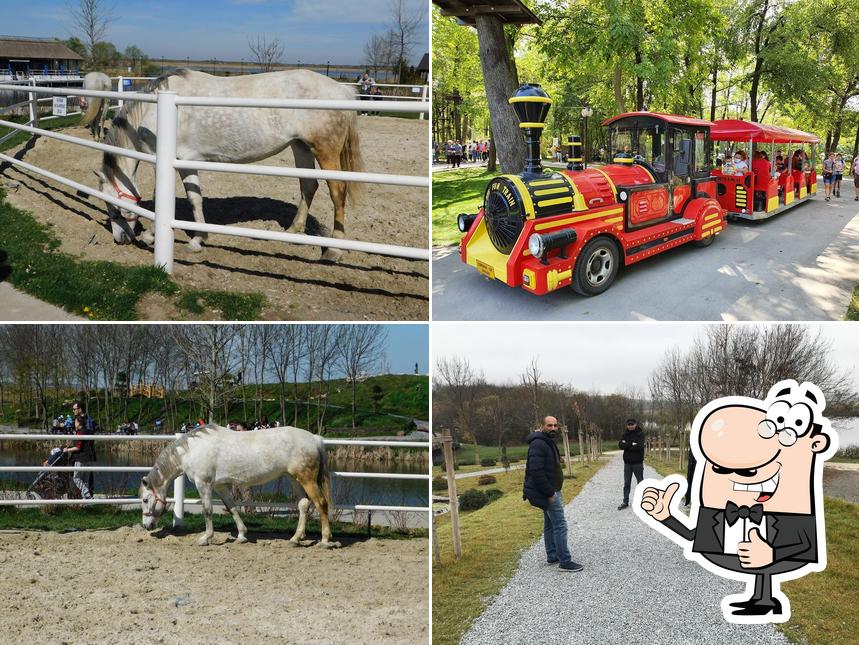 Hanul Postalionului Comana