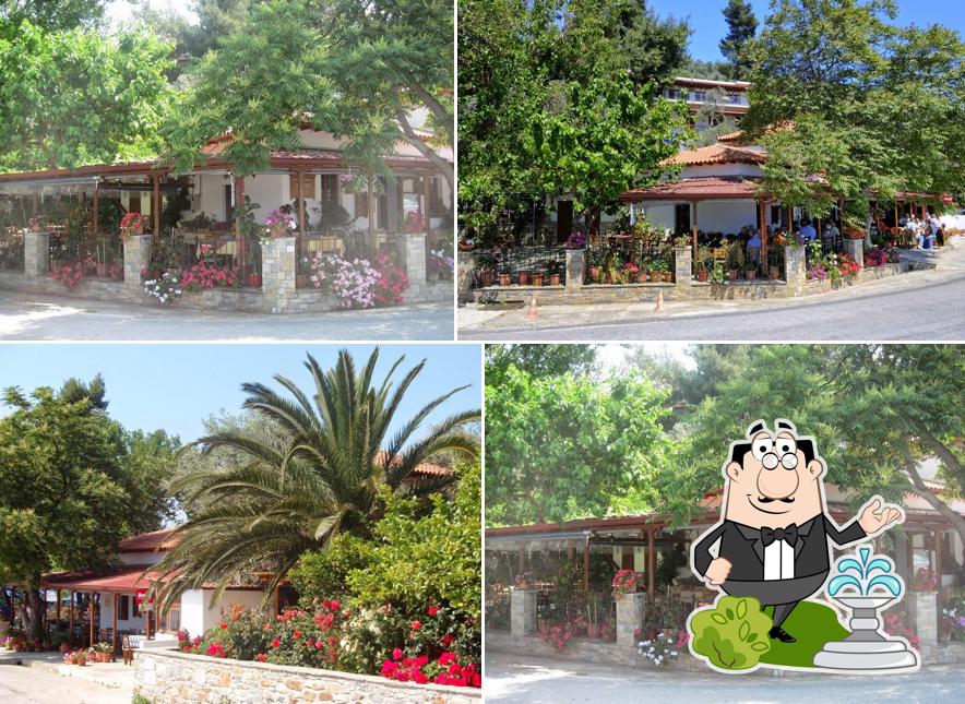 Gibraltar Taverna