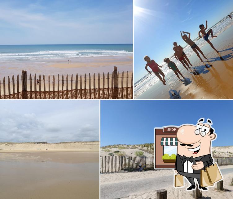 La Mascotte de l'Ocean