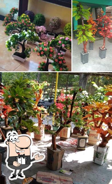 Angkringan Flamboyan